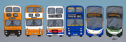 6 Buses print