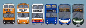 6 Buses print